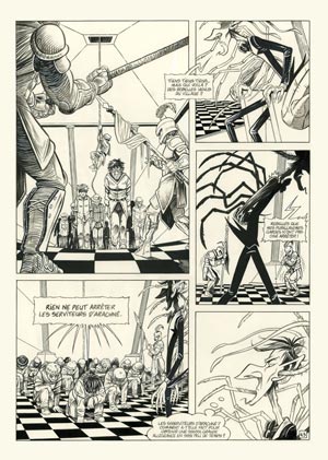 Page 43